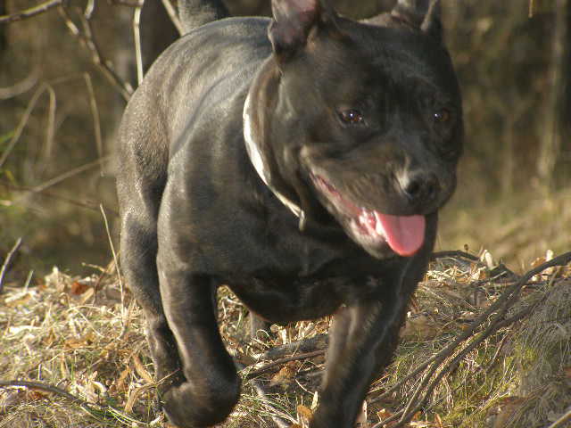 ÚNOR 2008 028.jpg