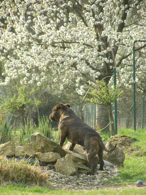 2 006.jpg
